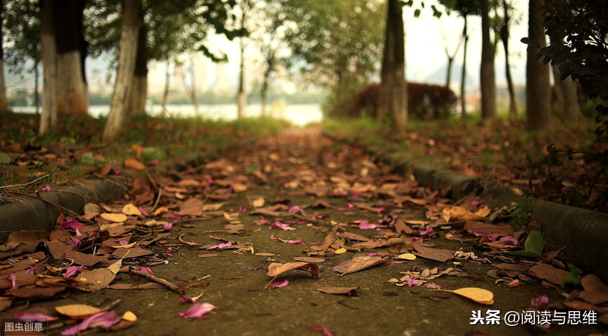 王勃：短暂而辉煌的一生，他用一篇千古奇文谱写了一段旷世传奇