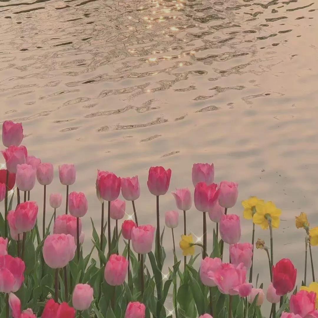 简·奥斯汀:被印在英国纸币上的女人,为了爱情终生未婚