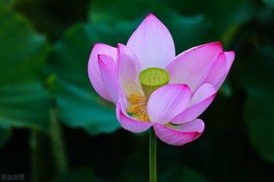 ​让女人更爱你的最好方式，让女人深深痴恋你的方式