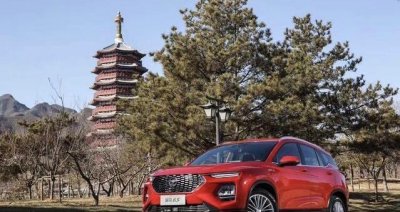 ​海马新款suv亮相，颜值不输H6，1.6T搭6AT，破百8.8秒