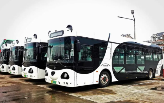 上海“熊猫公交车”上路运营,沿途又添风景线,马路萌新上线了?-