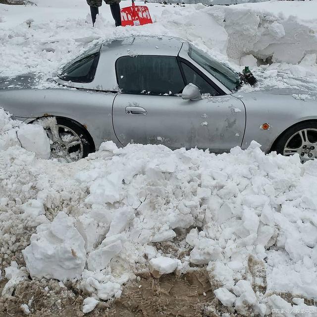 德媒:中国车市从没这么卷过,说明什么问题?-
