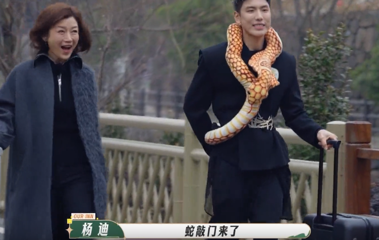 王子异的敢，唐嫣的憨，杨迪的“霉”，撑起了《我们的客栈》效果