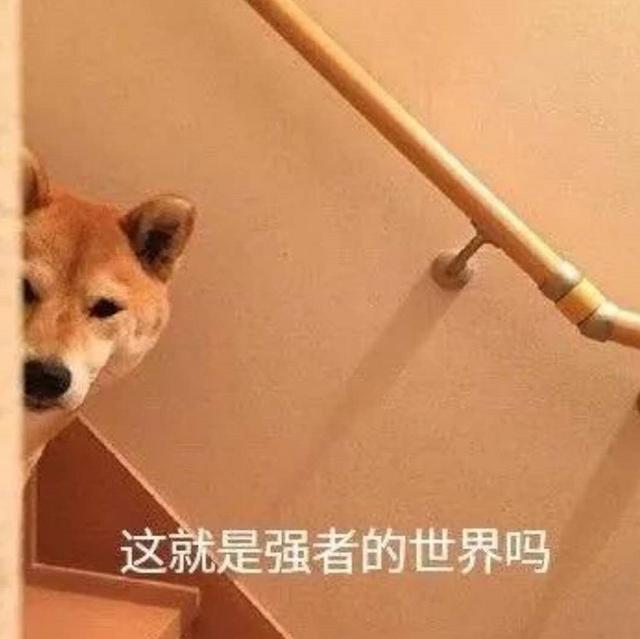 4S店的二手车怎么样?这辆24万的奥迪A6L告诉你答案-