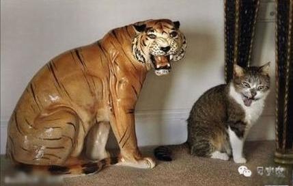 瑞风S2质保20万公里!日系车都给跪了-