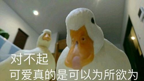 没到为所欲为的地步的成语(没到为所欲为的地步怎么办)-第1张图片-