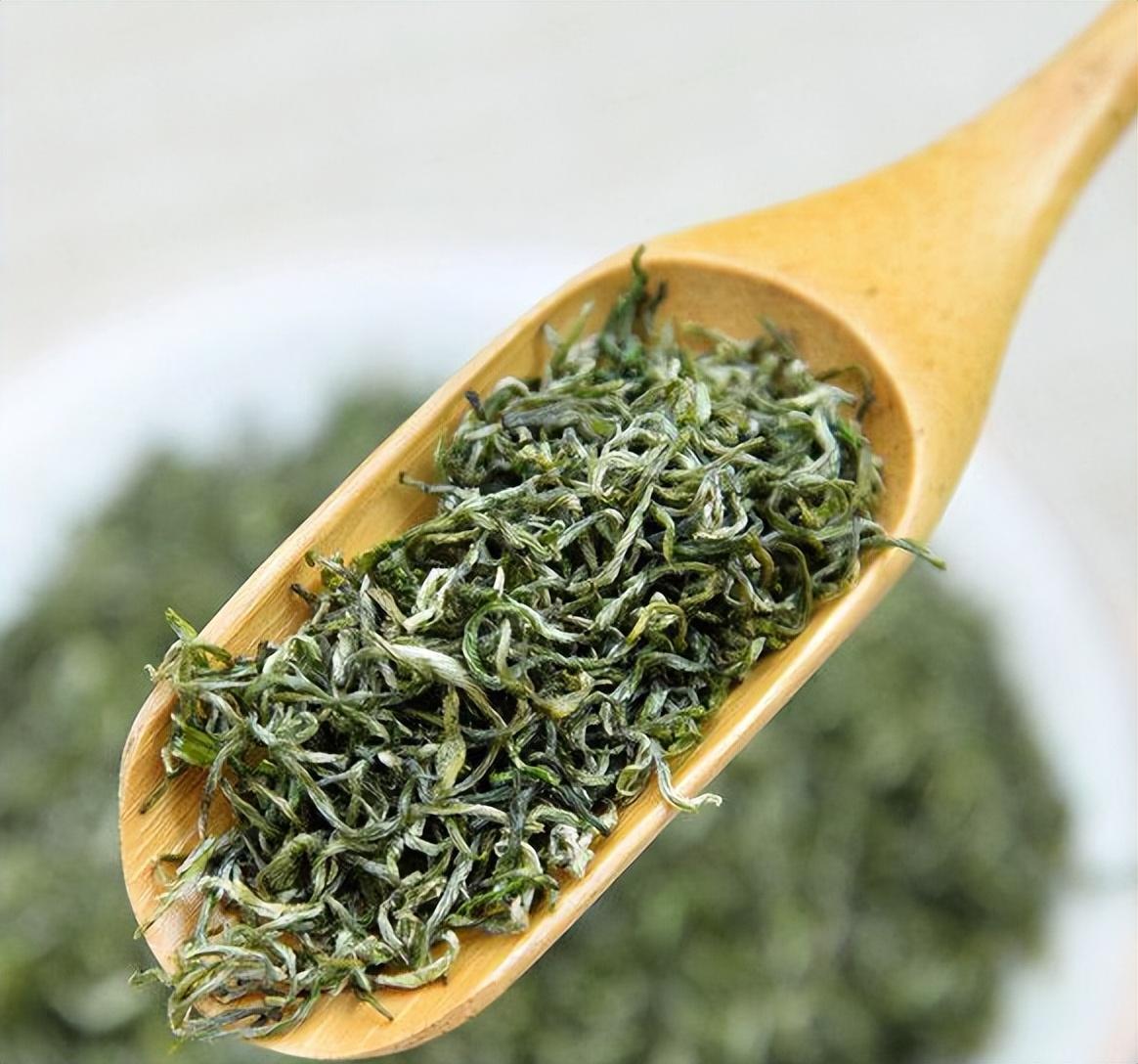 狗牯脑茶属于什么档次(狗牯脑茶属于什么茶)