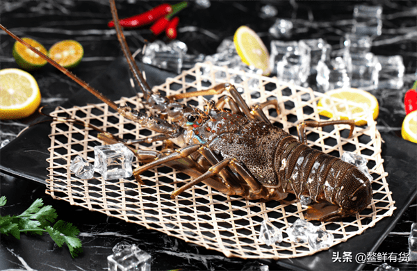 小青龙多少钱一斤(市场上小青龙多少钱一斤)