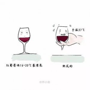 ​红酒前有Le(红酒上面有保质期吗)