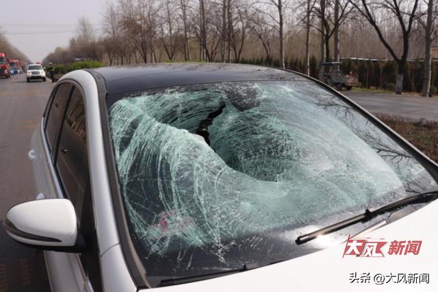 奔驰女司机疑盲驾将老人撞飞51米,称对方“猛闯”反应不及,死者亲属不认可同责认定-