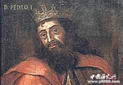 ​佩德罗一世生平经历 ，怎样去评价佩德罗一世