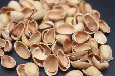 ​坚果壳 算什么垃圾分类