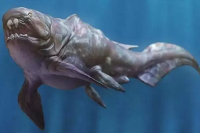 ​史前海洋霸主邓氏鱼的天敌是谁（邓氏鱼灭绝了吗）