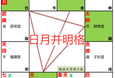 ​极向离明格富贵吗