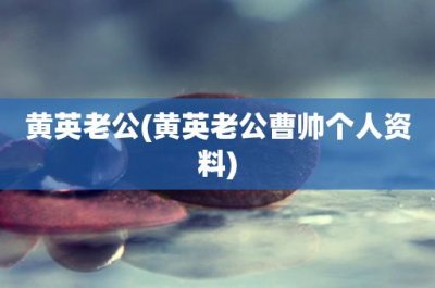 ​黄英老公(黄英老公曹帅个人资料)