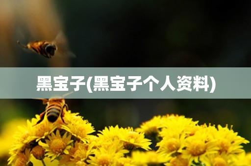 黑宝子(黑宝子个人资料) 黑宝子(黑宝子个人资料)