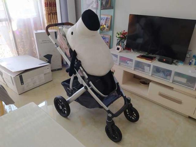 UPPAbaby婴儿车VISTAV2怎么样?是高景观推车吗?-