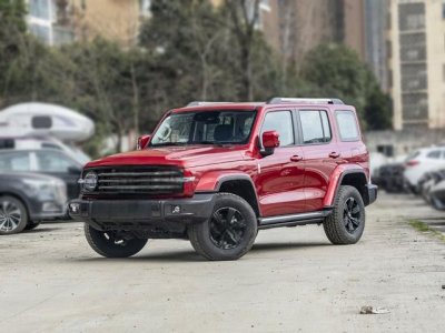 ​2021款 城市版 2.0T 必须型 坦克300空间怎么样 坦克300购车手册