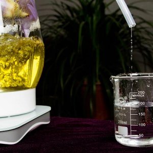 ​什么样的葡萄在家好种(葡萄在家可以做成什么)