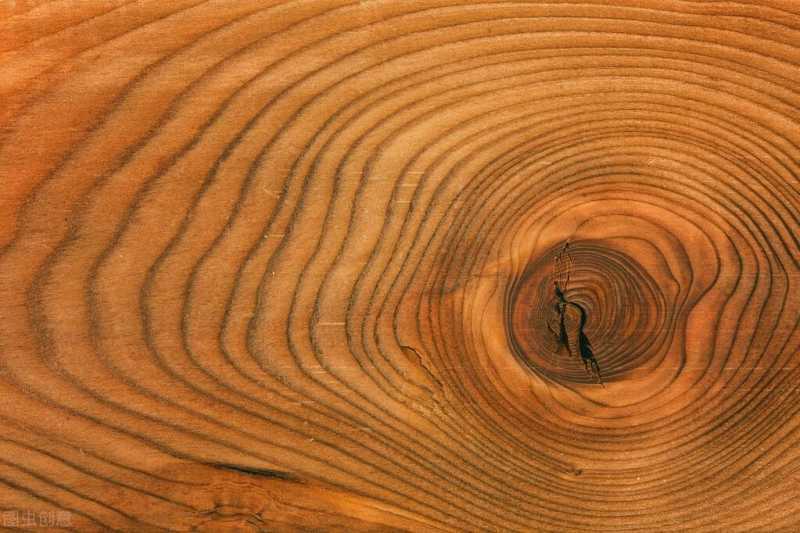 树的年轮(为什么树木会形成一圈一圈的年轮?)