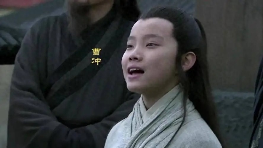 曹冲的人物简介资料(三国曹冲的生平介绍)-