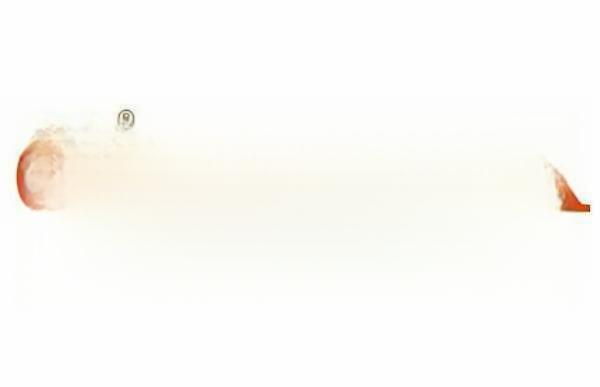 合资摩托车品牌排行榜前十名,合资质量最好的摩托车-