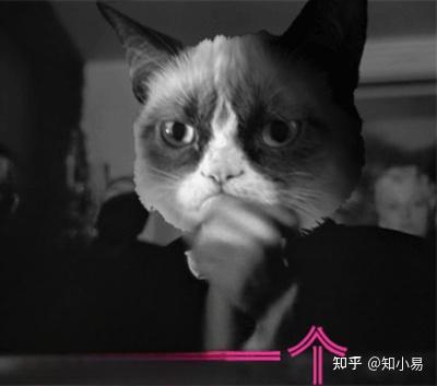 鱼竿品牌排行榜前十位哪个牌子质量好?-