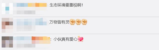 骆驼被铁丝缠脚,被三名自驾小伙解救后长鸣感谢 网友:万物皆有灵-