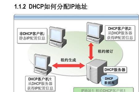 什么是DHCP服务器