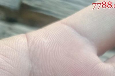 ​咸丰同治是什么时期