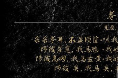 ​维以不伤维以不怀什么意思