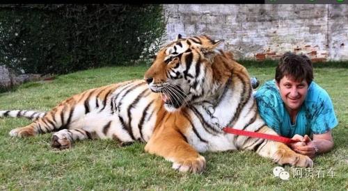 骑虎南下，是什么意思