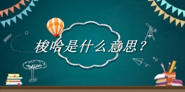 梭哈是什么意思?