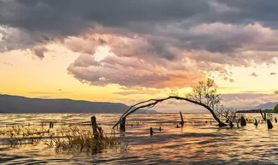 云南洱海是海还是湖(洱海旅游攻略分享)