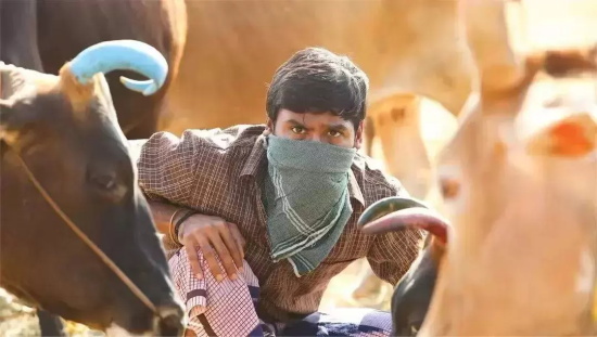 男人必看的热血电影有哪些（盘点男人必看的15部高分电影）