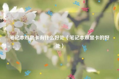 ​笔记本双显卡有什么好处（笔记本双显卡的好处）