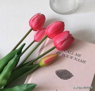 开学八个字激励短句(开学写在本子上的温柔励志短句)