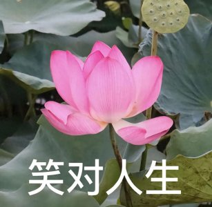 老人头像(中老年人潮流头像)