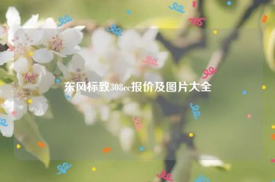 ​东风标致308cc报价及图片大全