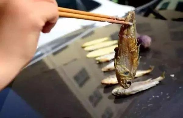 汽车引擎盖能烤鱼,夏天车内温度可以有多高?-