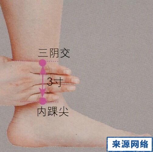 女人夏天怎么养生 女人夏天养生秘技 女人夏天怎么养生 女人夏天养生秘技