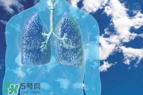 秋季如何护肺?秋季护肺小妙招 秋季如何护肺?秋季护肺小妙招