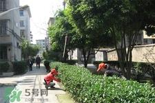 倒春寒要注意什么?倒春寒来袭的注意事项 倒春寒要注意什么?倒春寒来袭的注意事项