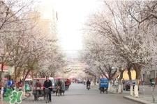 倒春寒要注意什么?倒春寒来袭的注意事项 倒春寒要注意什么?倒春寒来袭的注意事项