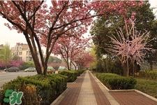 倒春寒要注意什么?倒春寒来袭的注意事项 倒春寒要注意什么?倒春寒来袭的注意事项