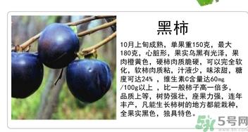 黑柿的营养价值及功效 黑柿怎么吃? 黑柿的营养价值及功效 黑柿怎么吃?