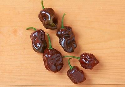 辣椒有几种品种图片 辣椒的种类及图片介绍 辣椒有几种品种图片 辣椒的种类及图片介绍