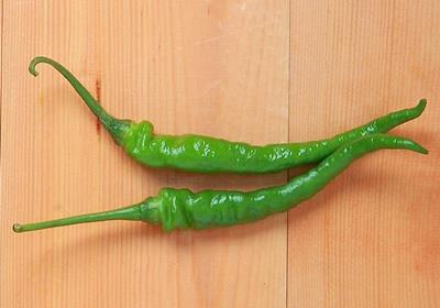 辣椒有几种品种图片 辣椒的种类及图片介绍 辣椒有几种品种图片 辣椒的种类及图片介绍