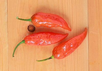 辣椒有几种品种图片 辣椒的种类及图片介绍 辣椒有几种品种图片 辣椒的种类及图片介绍