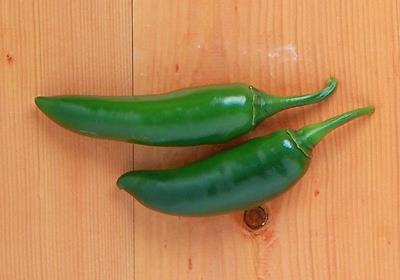 辣椒有几种品种图片 辣椒的种类及图片介绍 辣椒有几种品种图片 辣椒的种类及图片介绍